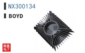 NX300134