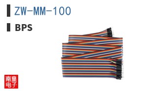 ZW-MM-100