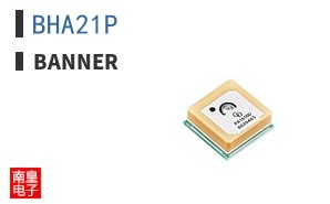 BHA21P