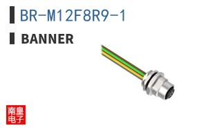 BR-M12F8R9-1