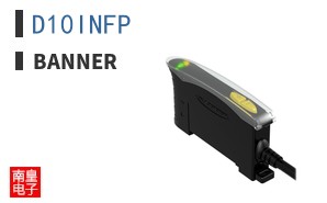 D10INFP