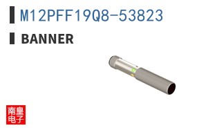 M12PFF19Q8-53823