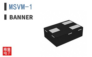 MSVM-1