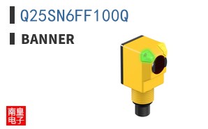 Q25SN6FF100Q