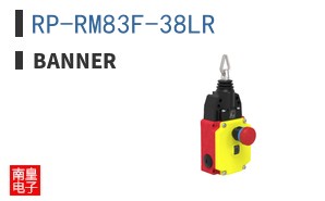 RP-RM83F-38LR