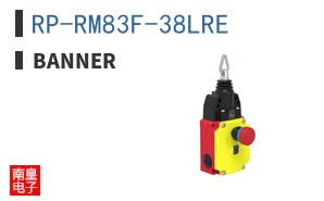 RP-RM83F-38LRE