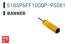 S18SP6FF100QP-95081