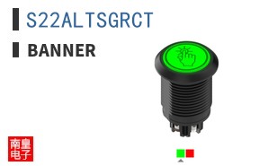 S22ALTSGRCT