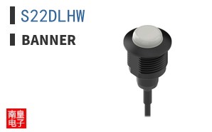 S22DLHW