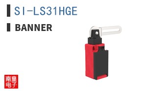 SI-LS31HGE