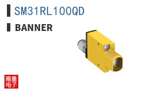 SM31RL100QD