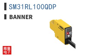 SM31RL100QDP