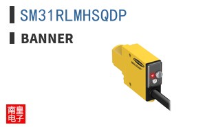 SM31RLMHSQDP