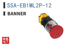 SSA-EB1ML2P-12
