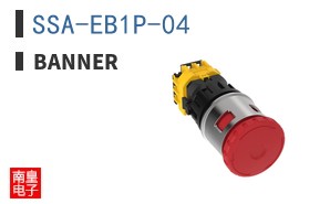 SSA-EB1P-04