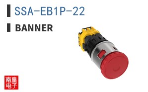 SSA-EB1P-22