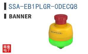 SSA-EB1PLGR-0DECQ8