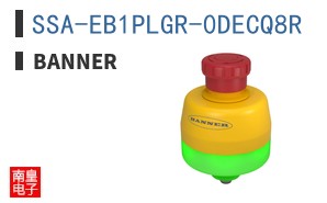 SSA-EB1PLGR-0DECQ8R