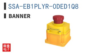 SSA-EB1PLYR-0DED1Q8