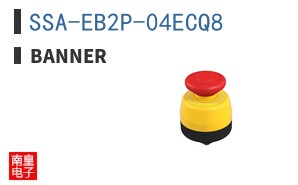 SSA-EB2P-04ECQ8