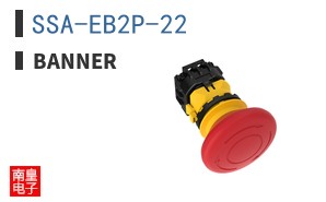 SSA-EB2P-22