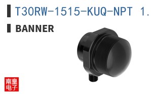 T30RW-1515-KUQ-NPT 1.5