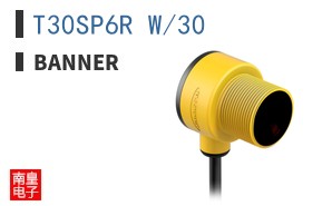 T30SP6R W/30