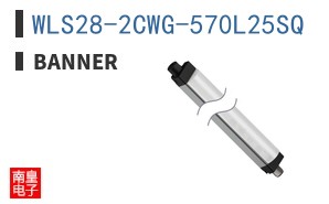 WLS28-2CWG-570L25SQ