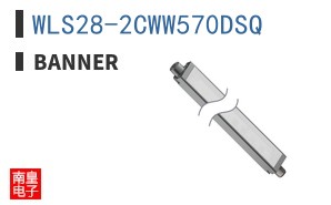 WLS28-2CWW570DSQ