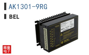 AK1301-9RG