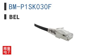 BM-P1SK030F