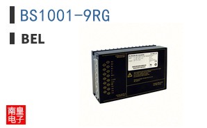 BS1001-9RG