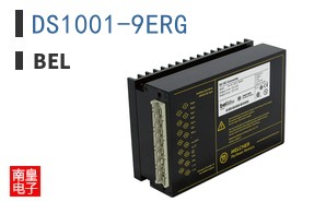 DS1001-9ERG