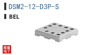DSM2-12-D3P-S