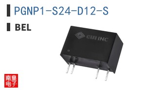 PGNP1-S24-D12-S