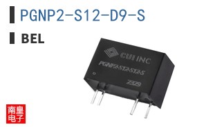 PGNP2-S12-D9-S