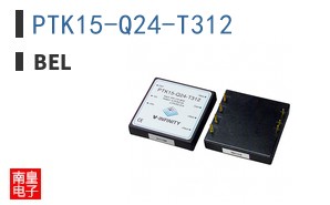 PTK15-Q24-T312