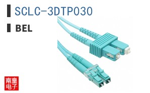 SCLC-3DTP030