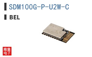 SDM100G-P-U2W-C