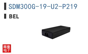SDM300G-19-U2-P219