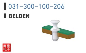 031-300-100-206