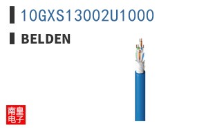 10GXS13002U1000