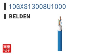 10GXS13008U1000