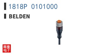 1818P 0101000