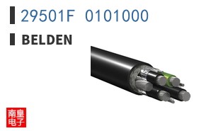 29501F 0101000