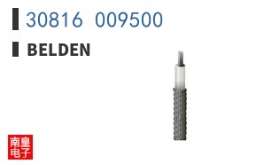 30816 009500