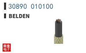 30890 010100