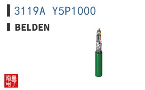 3119A Y5P1000