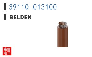 39110 013100