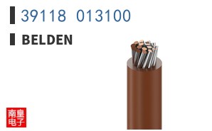 39118 013100